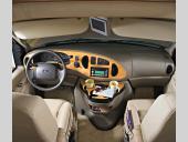 Greyhawk Stock Photo