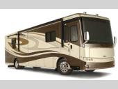 Dutch Star Stock Photo