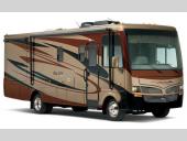 Bay Star Stock Photo