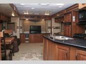 Cougar High Country Stock Photo