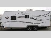 Arctic Fox Stock Photo