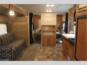 Canyon Cat Stock Photo