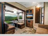 Cougar X-Lite Stock Photo