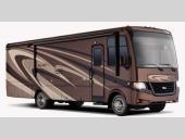 Bay Star Stock Photo