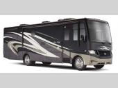 Bay Star Stock Photo