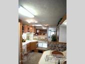 Arctic Fox Stock Photo