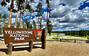 Visit Yellowstone National Park