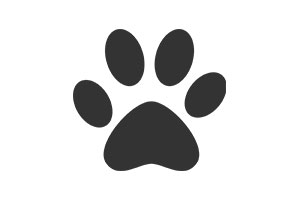 RV Rentals with Pets