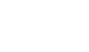 KZ Logo