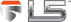 Level 5