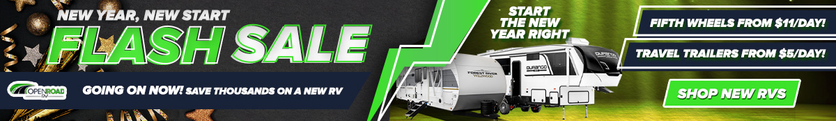 January - New Year Flash Sale