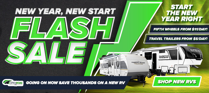 January - New Year Flash Sale