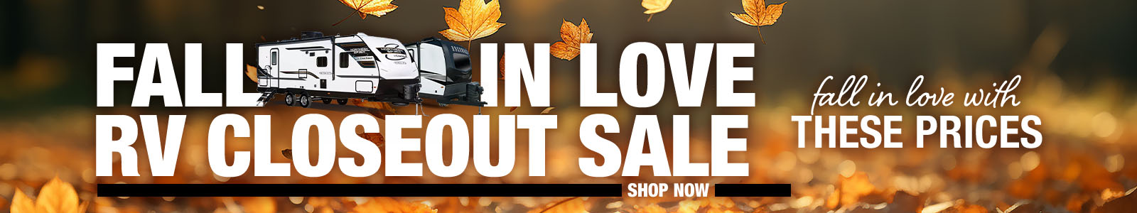 Fall Closeout Sale Banner