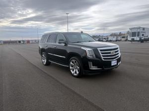 Used 2017 Cadillac Escalade Photo