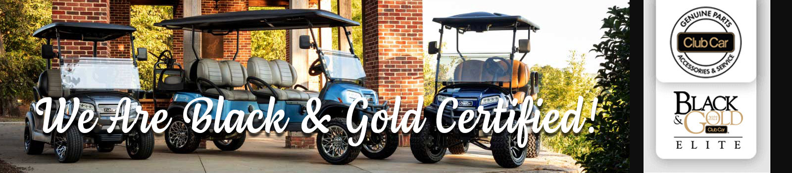 Club Car Black & Gold Elite