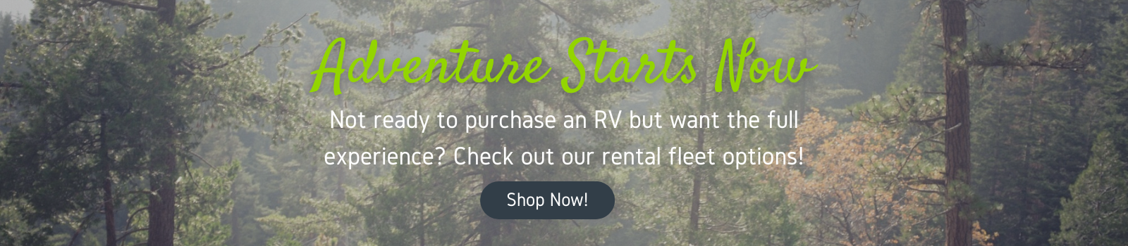 Rental Fleet