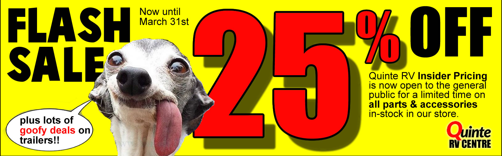 Goofy25FlashSale