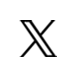 twitter icon