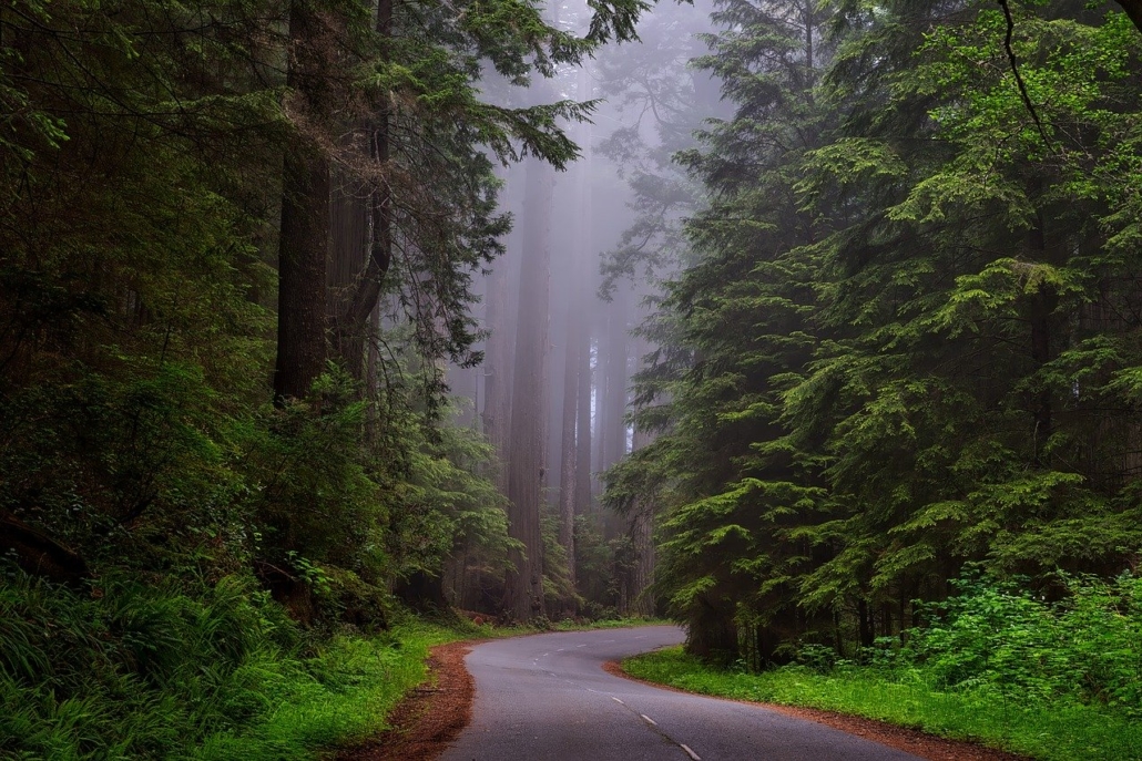 california national parks