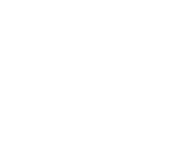 Western Logo