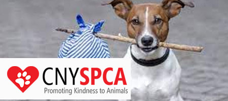 CNYSPCA