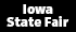 Iowa State Fair